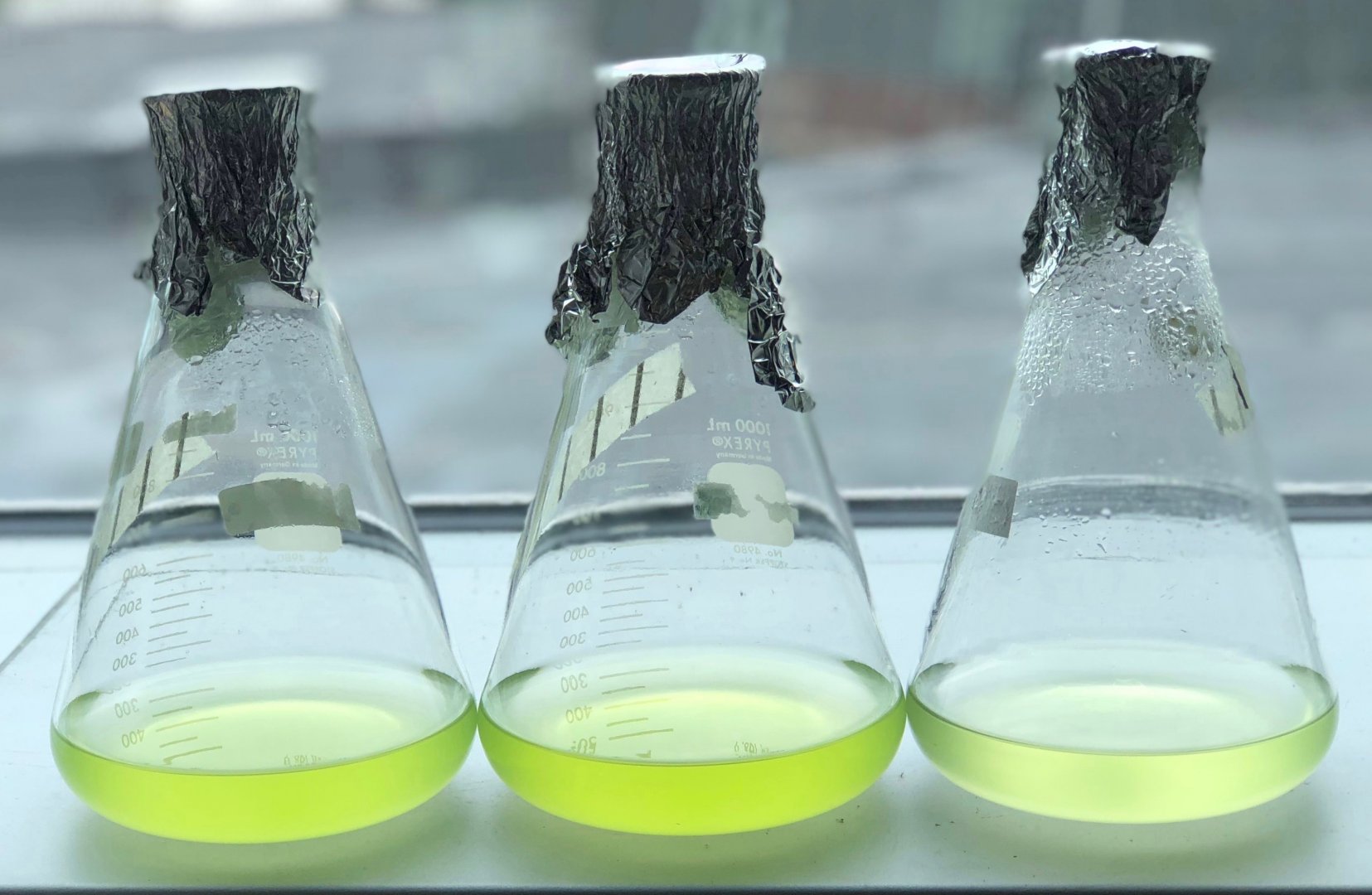 Top 10 Green Inventions That Can Help Save the Planet - Schmeiser Olsen